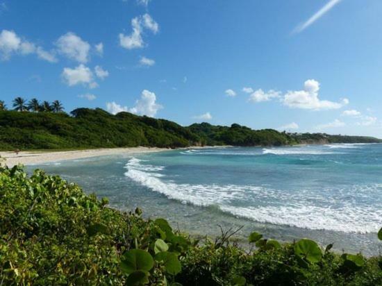 Bungalows Les Vagues Abondes Villa Sainte-Anne  Buitenkant foto